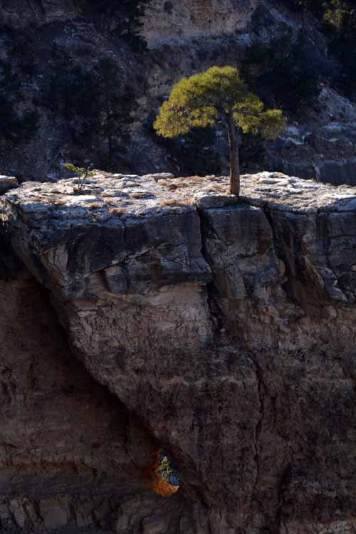 south rim